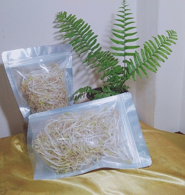 Giá Mầm - Just Kal